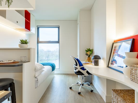 Economy Studio room type